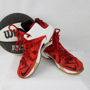 Nike Lebron Heart of a Lion Basketball Sneakers